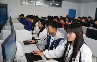 计算机专业就业电子商务