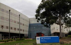 莫纳什大学电子商务专业