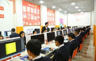 电子商务专业应该做什么