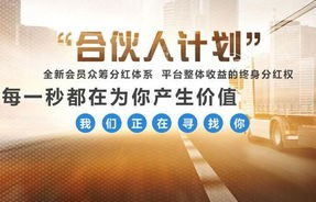 你对电子商务专业的理解